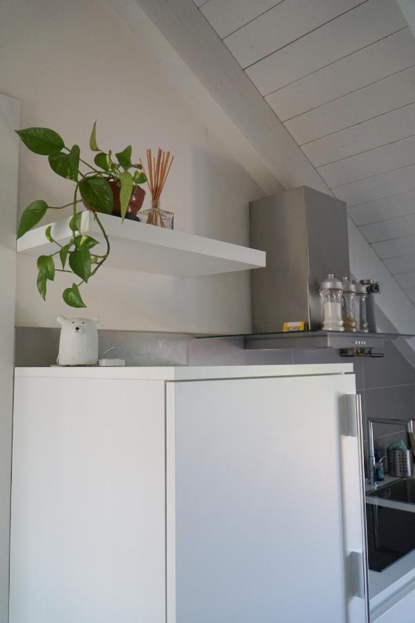 Apartment Cozy With Mole & Hill View *